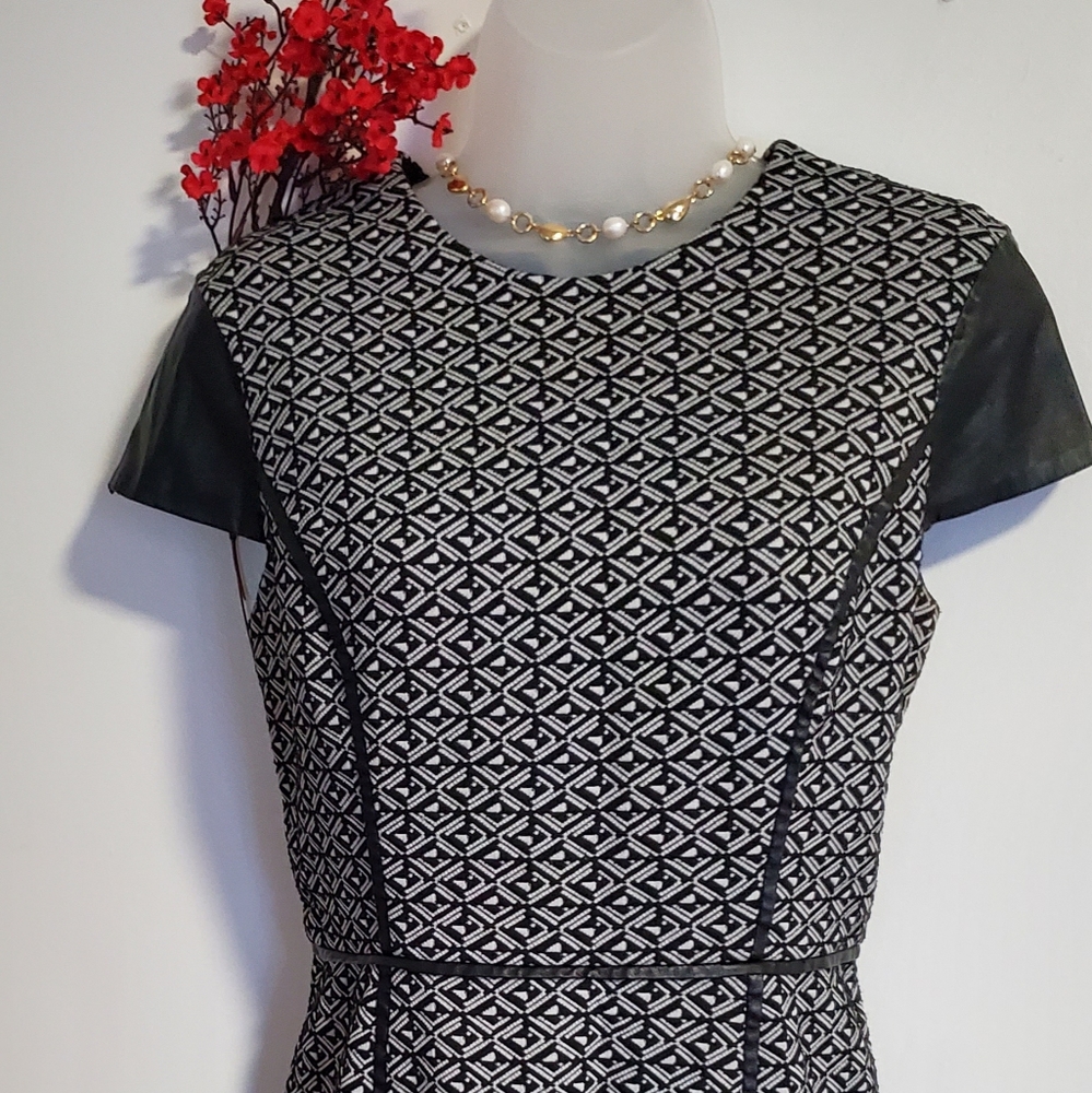 Leather Trimed Dress
